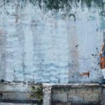 runpedia_adidas presenta los nuevos modelos FW25 del Adizero Evo SL