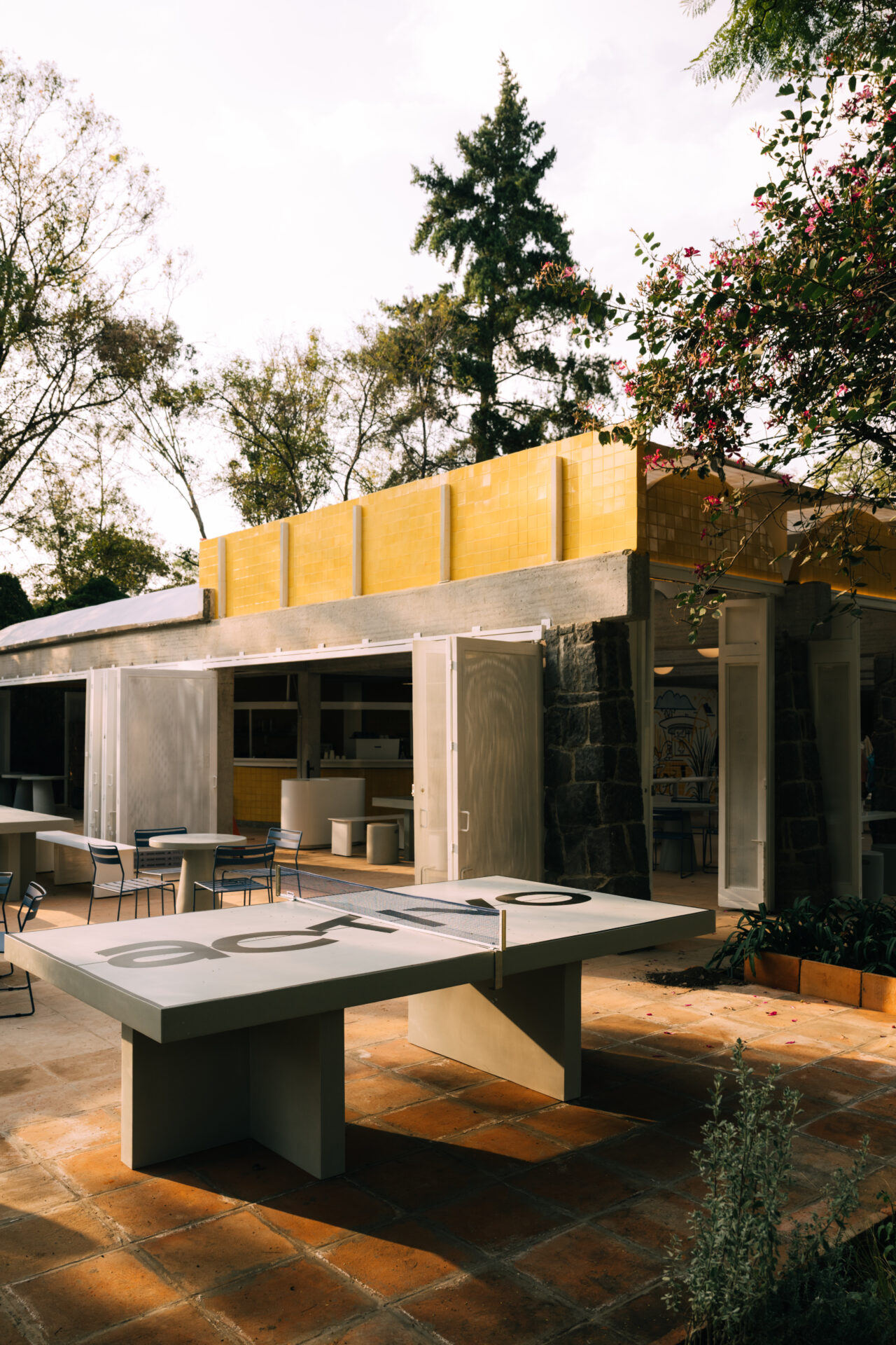 runpedia_El bosque nos une: Activo by adidas Runners 