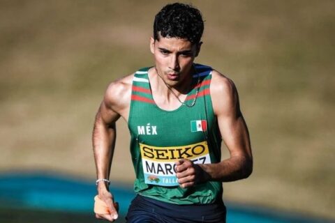 Runpedia_calendario mundial de atletismo